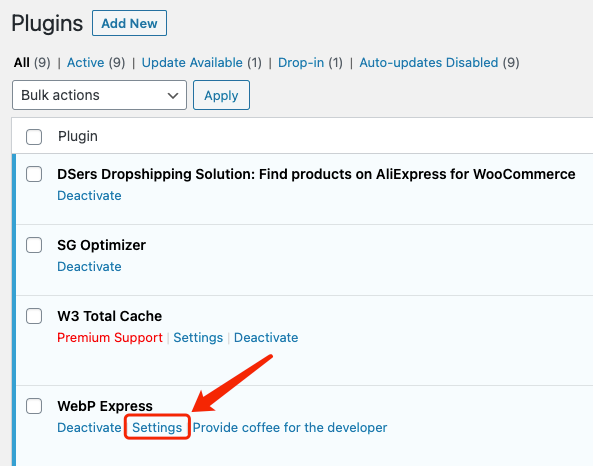 Why I can't push my product from DSers to WooCommerce - Settings of WebP Express - Woo DSers