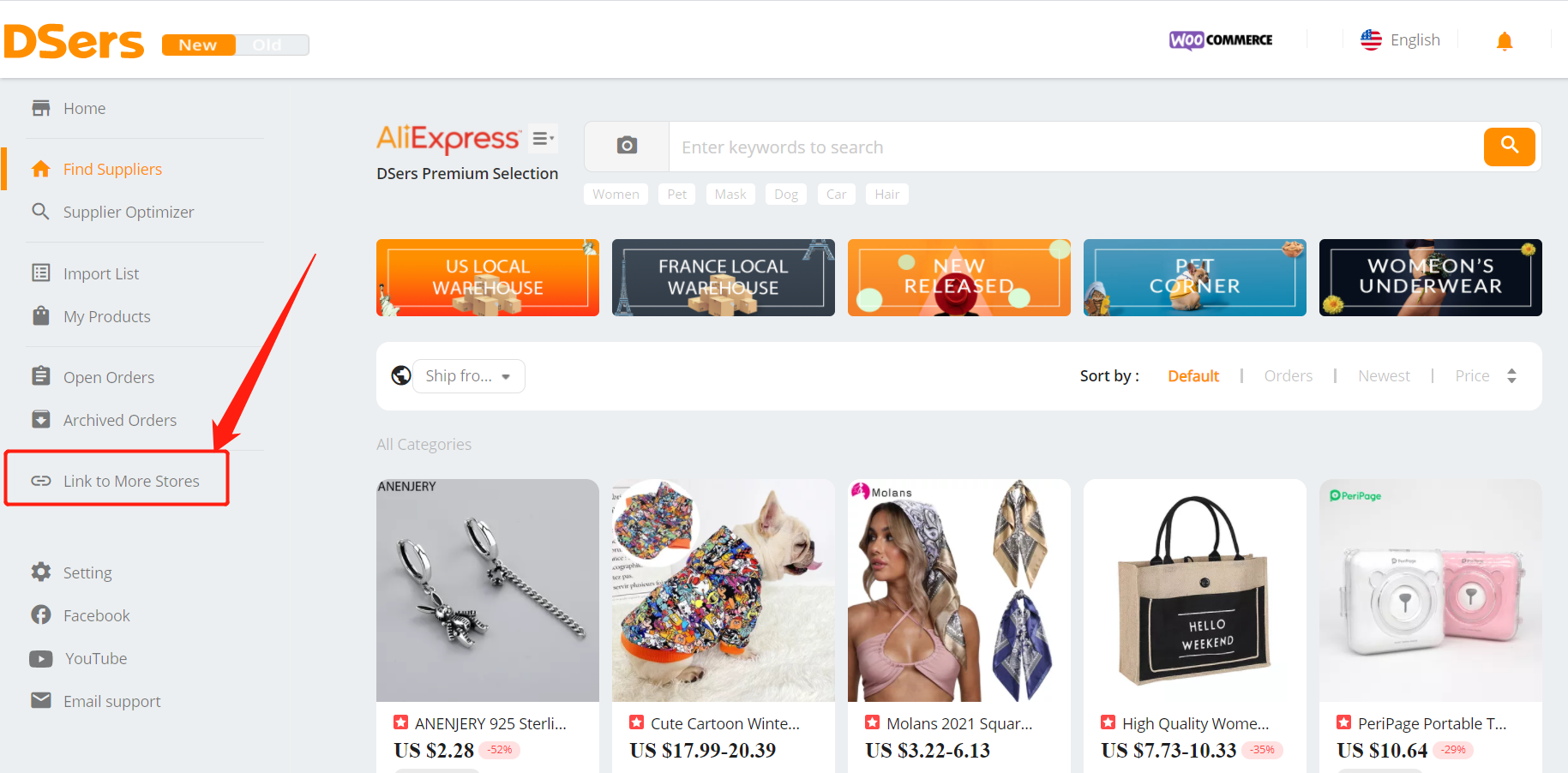 Add a WooCommerce store with Woo DSers - Link to more stores - Woo DSers