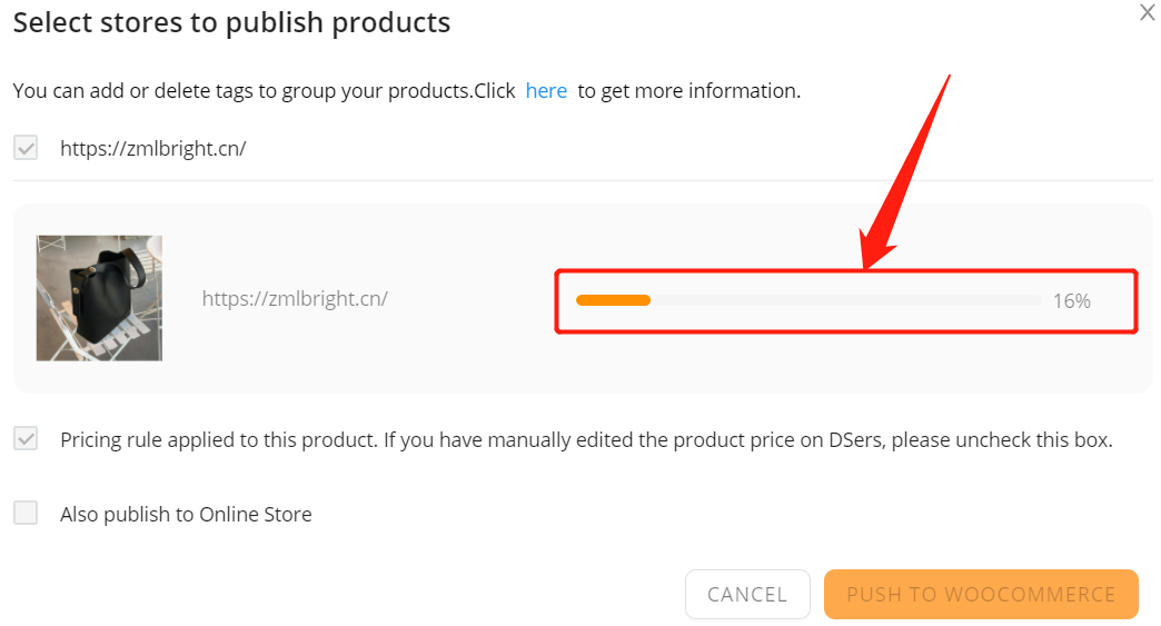 Push a product to your WooCommerce store with Woo DSers - Push to Woo Store - Woo DSers